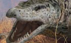 Monsters We Met - Frequently asked questions