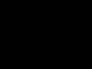 BatCam