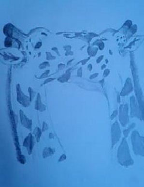 Giraffes