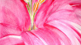 Flower - Art...