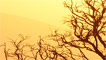 Sunset over Abergaveny by Dickie-Dai-Do