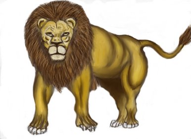Eyes of a lion