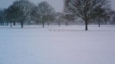Snow!