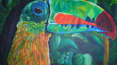 Toucan