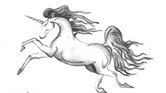 Unicorn Unicorn