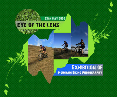 Exhibition Graphics