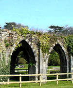 Olion, Parc Margam.