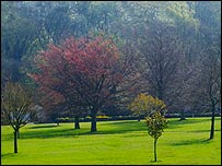 Priory Park