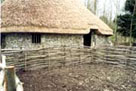Photograph showing a woodland homestead