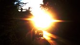 Sun Beam