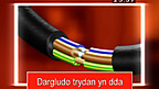 Dargludydd