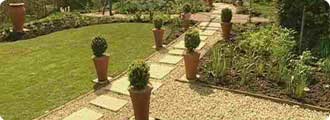Pathside planting