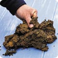 Clay soil