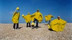 Super Furry Animals