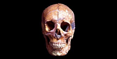 Skull