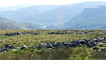 The Iron age settlement