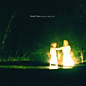 Review of Through Low Light and Trees