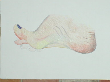 Foot