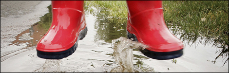 Wellington Boots