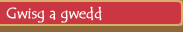 Gwisg a gwedd