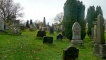 The Kirkyard