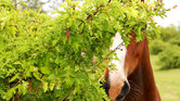 Hide and Seek...