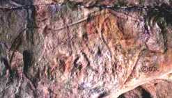 Ancient cave art