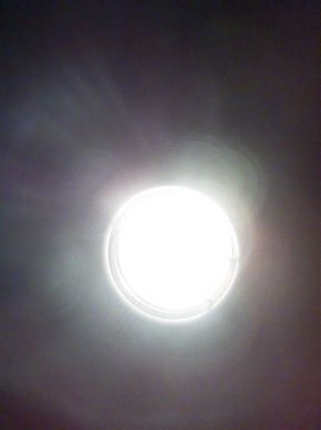 Pure Lite?