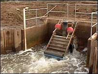 Flood gate
