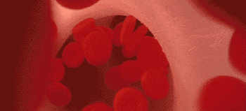 Blood
