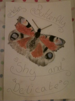 Butterfly