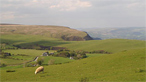 View from Dylife