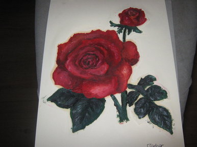 Rose,x
