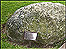 witch grave