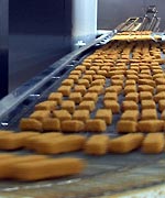 fish fingers