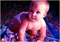 baby