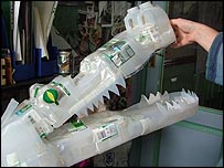 Shiam's crocodile