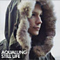 Review of Still Life