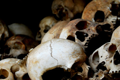 Skulls