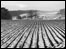 Ploughed field