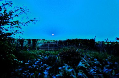 8th May 2009 Moon
