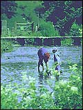 Bradford Dale
