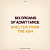 Review of Shelter From the Ash