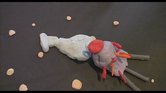 Whale Explode!... Whale Explode!...