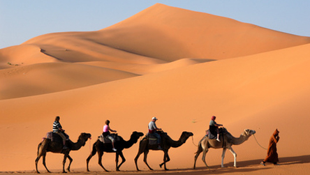 Basic phrases in Arabic - © Vladimir Wrangel - Fotolia.com - 3218770