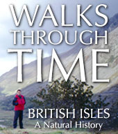 Walks Through Time