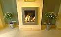 Fireplace with daisies