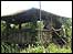 Ruth and Don Lewer's garden