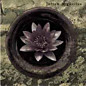 Review of Inner Voices