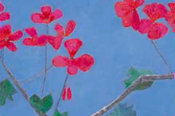Jo Self - Geranium